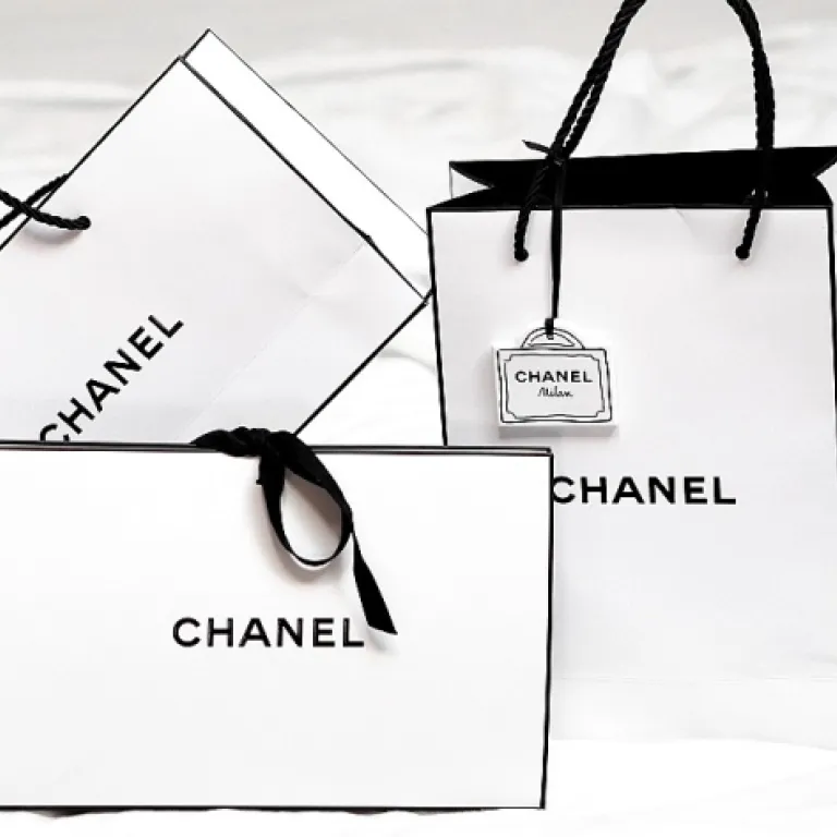 Embrace the Charm of Feline-Inspired Handbags