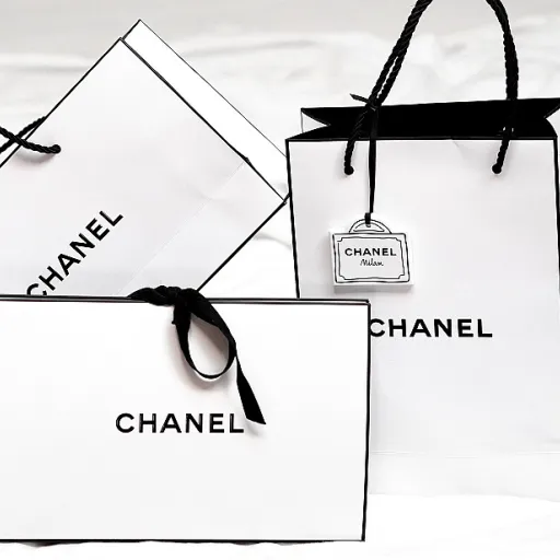 Embrace the Charm of Feline-Inspired Handbags